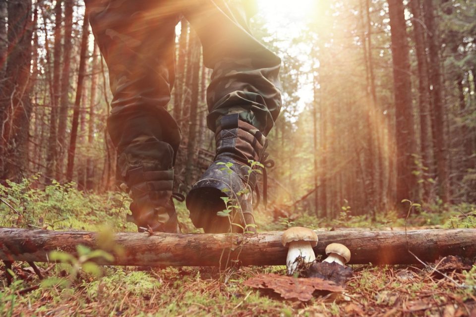 man in a forest hunting with a Polaris ATV