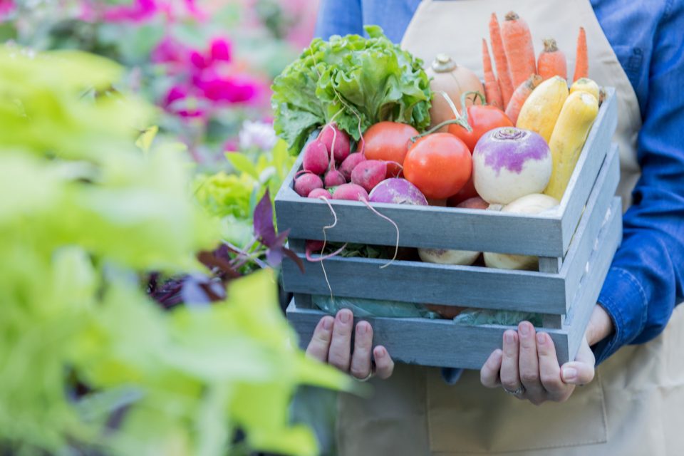 Tuscaloosa Farmer's Market