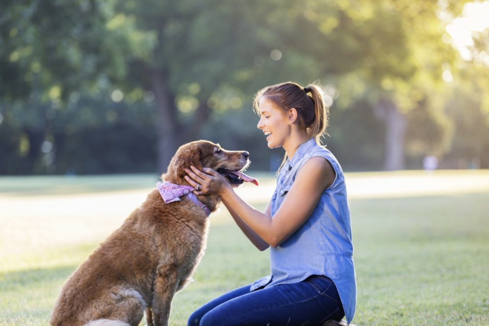 Bark in the Park